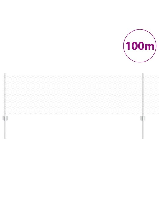 Žogs ar stabiem. sudraba 0.6 x 100 m tērauds