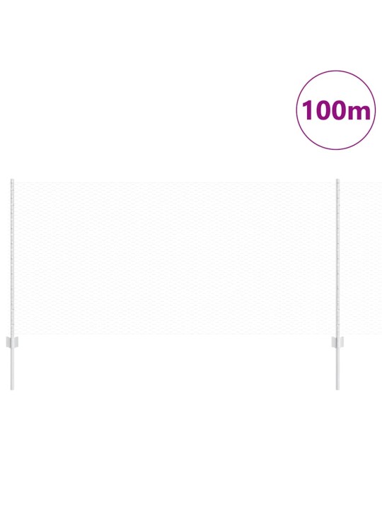 Žogs ar stabiem. sudraba 1 x 100 m tērauds