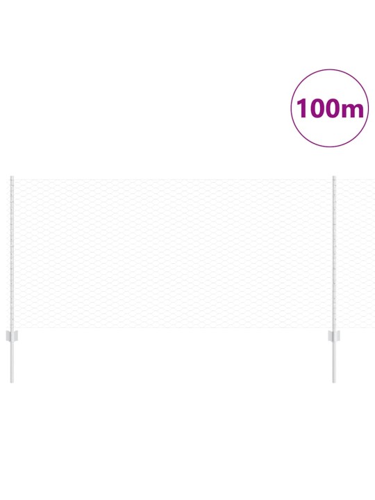 Žogs ar stabiem. sudraba 1 x 100 m tērauds
