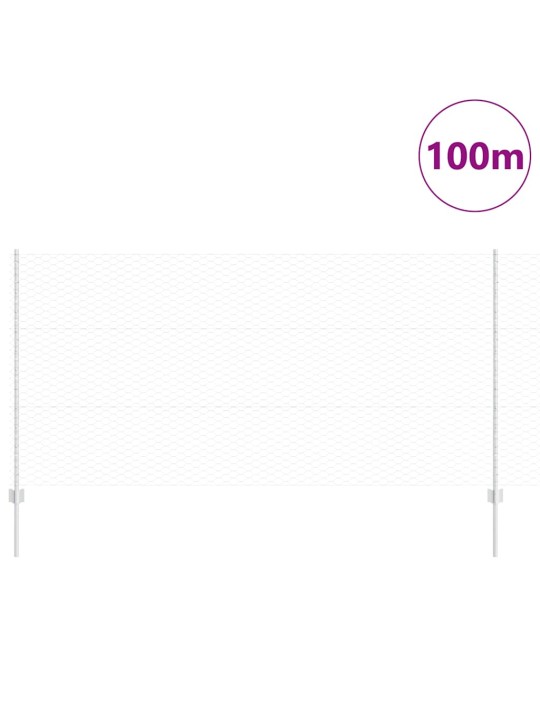Žogs ar stabiem. sudraba 1.2 x 100 m tērauds