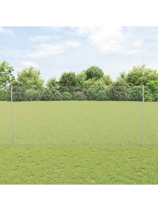 Žogs ar stabiem. sudraba 1.4 x 100 m tērauds