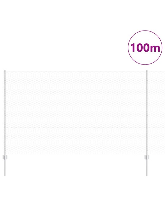 Žogs ar stabiem. sudraba 1.4 x 100 m tērauds