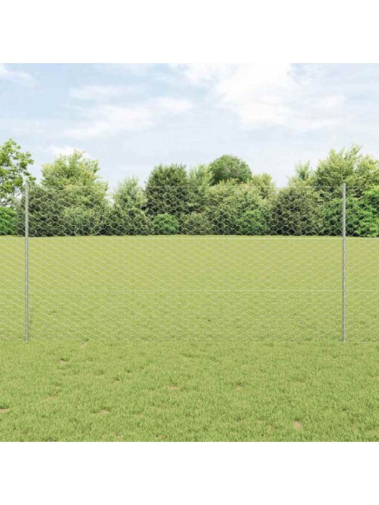 Žogs ar stabiem. sudraba 1.4 x 100 m tērauds