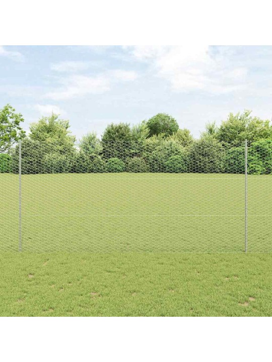 Žogs ar stabiem. sudraba 1.5 x 100 m tērauds