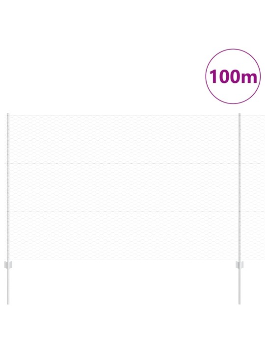 Žogs ar stabiem. sudraba 1.5 x 100 m tērauds