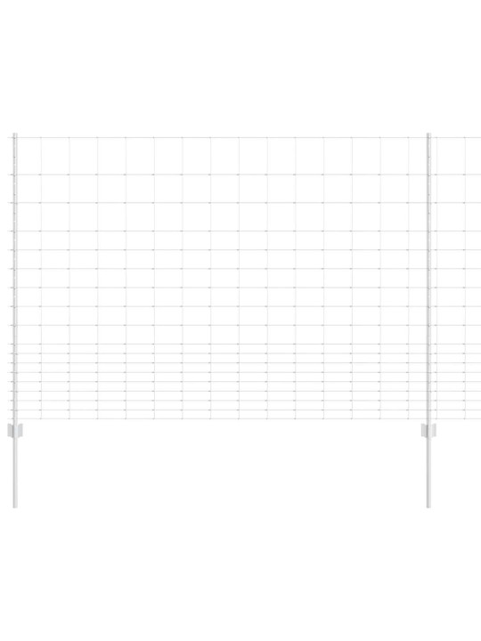 Žogs ar stabiem. sudraba 1.5 x 25 m tērauds