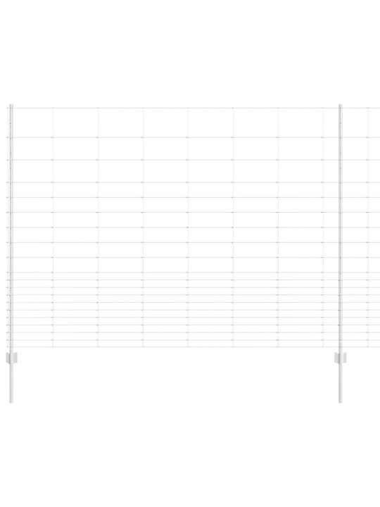 Žogs ar stabiem. sudraba 1.6 x 25 m tērauds