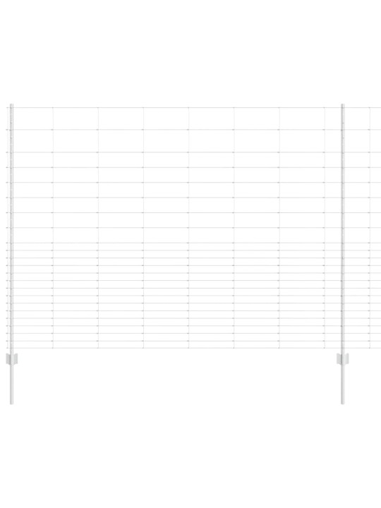 Žogs ar stabiem. sudraba 1.6 x 25 m tērauds