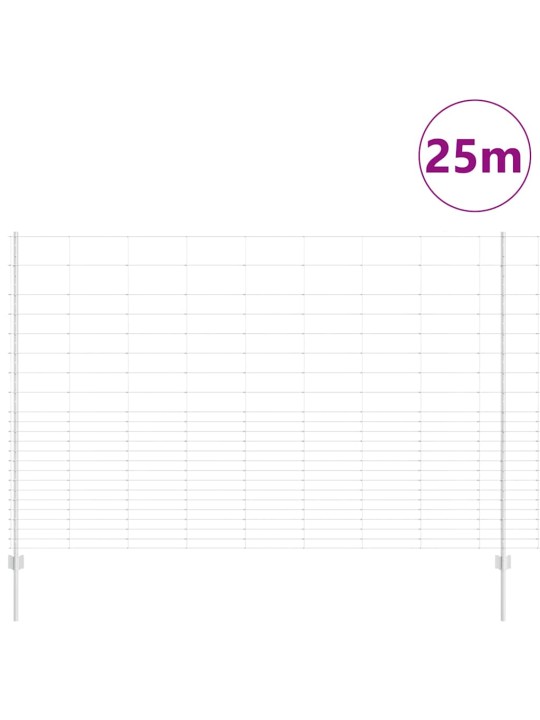Žogs ar stabiem. sudraba 1.6 x 25 m tērauds