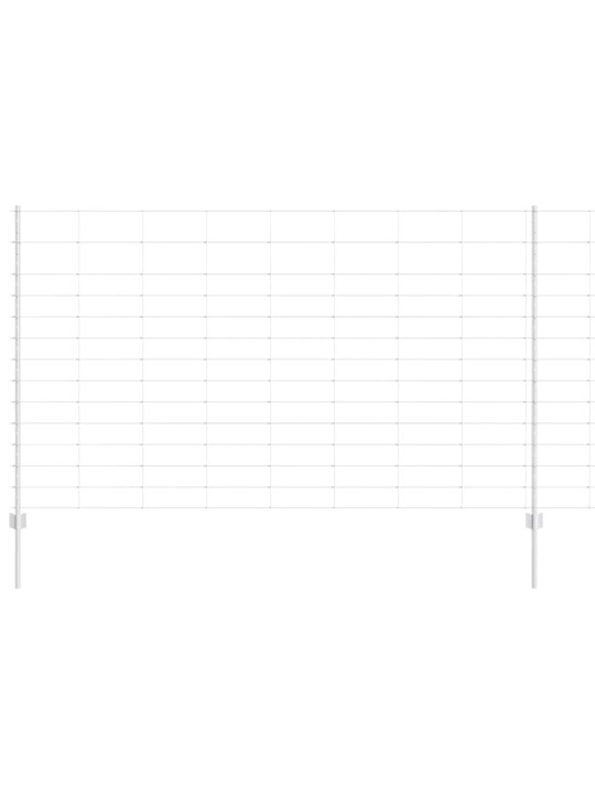 Žogs ar stabiem. sudraba 1.4 x 50 m tērauds