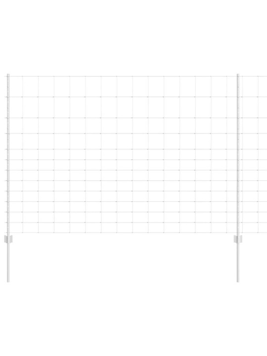 Žogs ar stabiem. sudraba 1.5 x 50 m tērauds