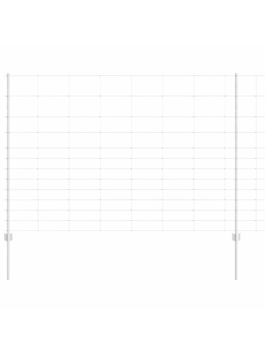 Žogs ar stabiem. sudraba 1.5 x 50 m tērauds