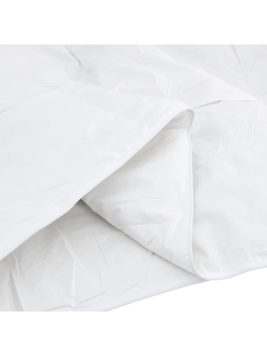 Segas komplekts ar spilvenu 2 pcs balts 140 x 220 cm dūnas