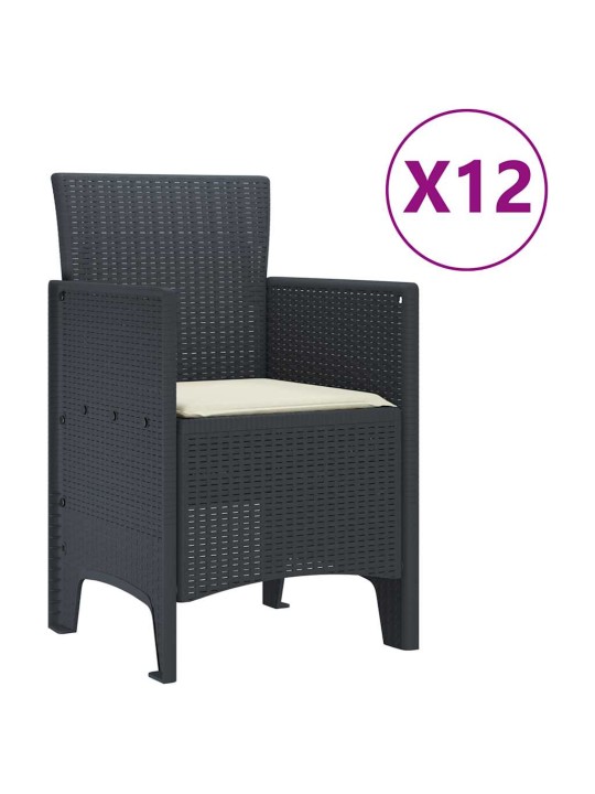 Dārza ēdamgalds 13 pcs antracīts polt rattan
