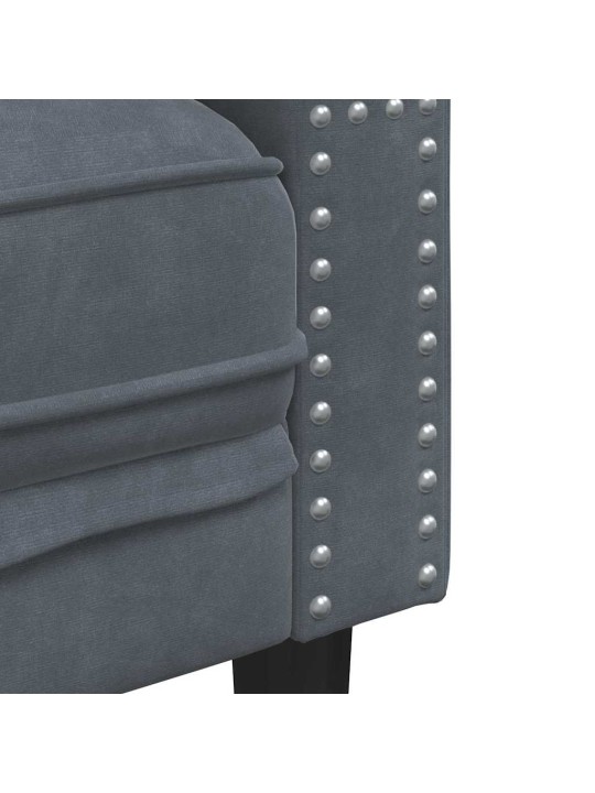 Dīvānu komplekts 2 pcs tumši pelēka samts