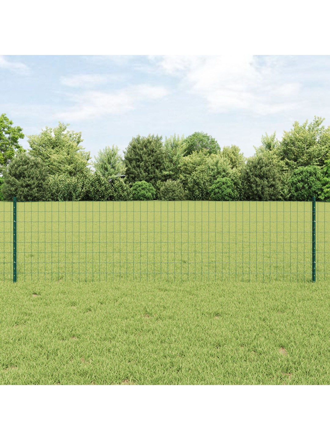 Eiro žogs ar 5 u stabiem zaļš 0.6x10 m tērauds