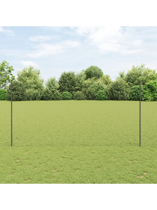 Dārza žoga komplekts 2 gab. pelēks metāls 25 x 1,5 m izturīgs