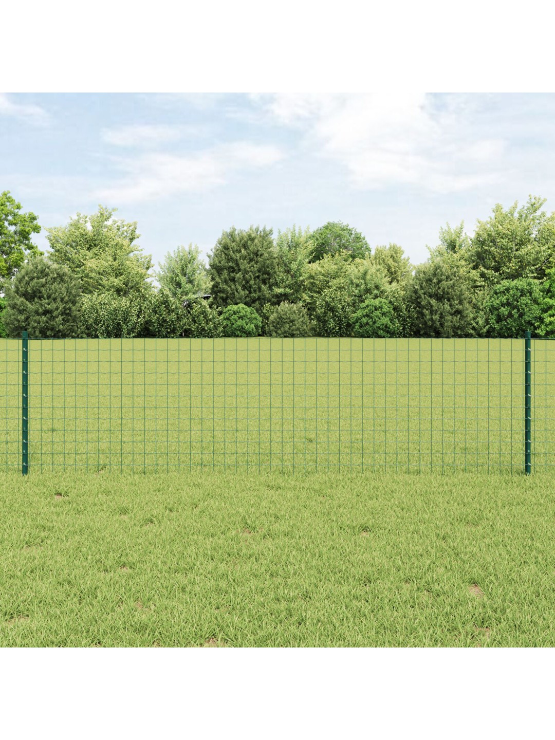 Eiropas žogs ar 5 u posteņiem zaļš 0.6x10 m tērauds