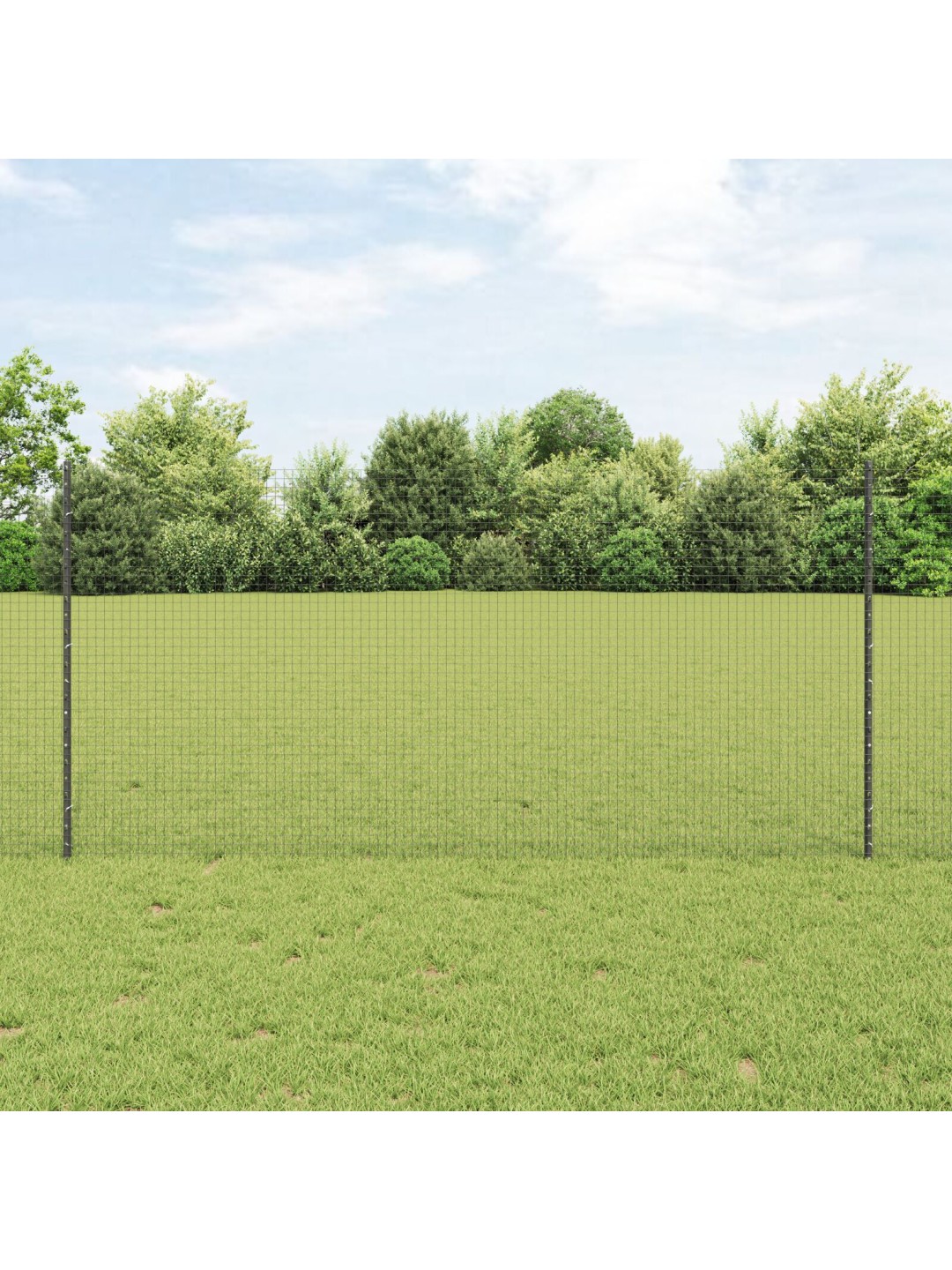 Cinkota acu žogs ar 44 u stabiem pelēks 1.2x50 m tērauds