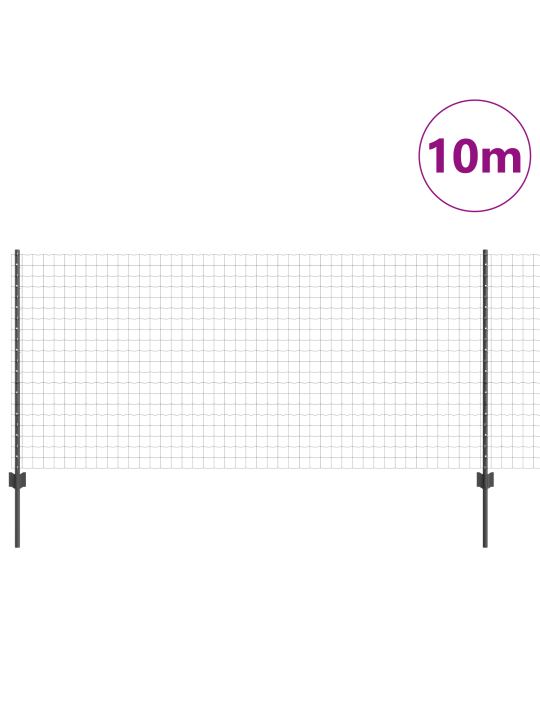 Eiro žogs ar 10 u stabiem pelēks 1x10 m tērauds