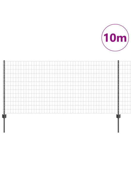 Eiropas žogs ar 10 u stabiem pelēks 1x10 m tērauds