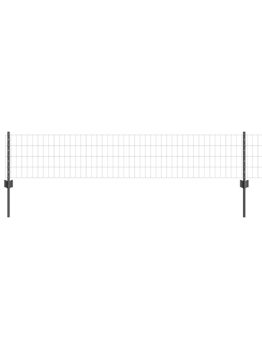 Eiropas žogs ar 5 u stabiem pelēks 0,4x10 m tērauds