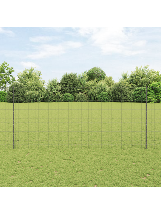 Eiropas žogs ar 10 u stabiem pelēks 1.4x10 m tērauds