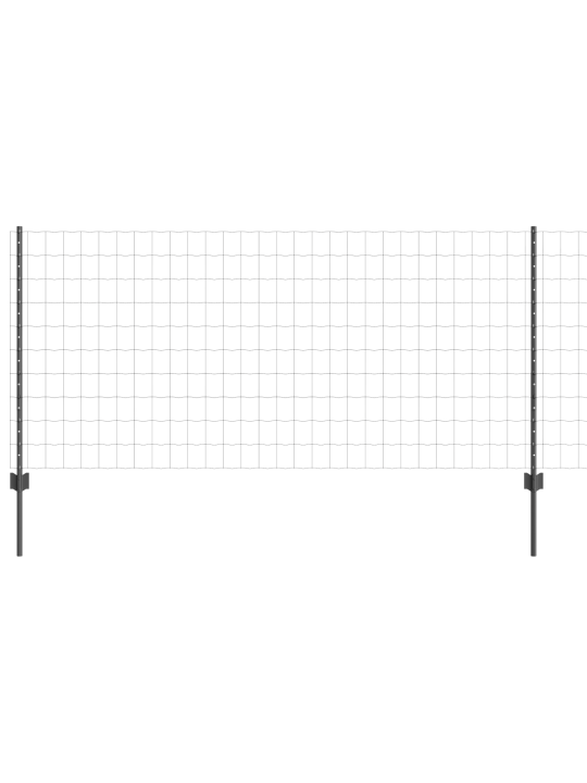 Eiro žogs ar 22 u stabiem pelēks 1x25 m tērauds