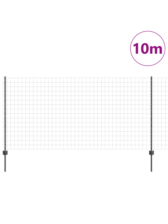 Eiropas žogs ar 10 u stabiem pelēks 1,2x10 m tērauds