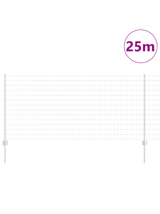 Eiro žogs ar 22 u stabiem sudraba 1x25 m tērauds